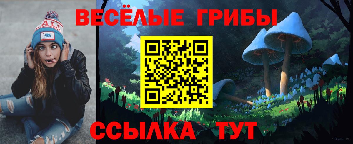 Майский  Галлюциногенные грибы Psilocybine cubensis  Вход с VPN 